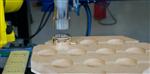 Robot Service Polishing Machines with Automatic or Manual Feeding System Polishing Machines 